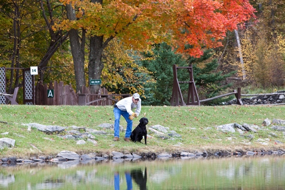 bond mountain kennels